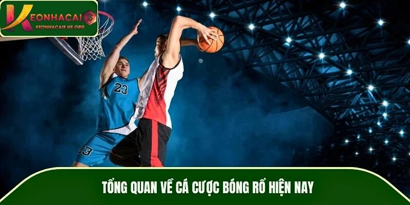 Tổng quan về cá cược bóng rổ hiện nay