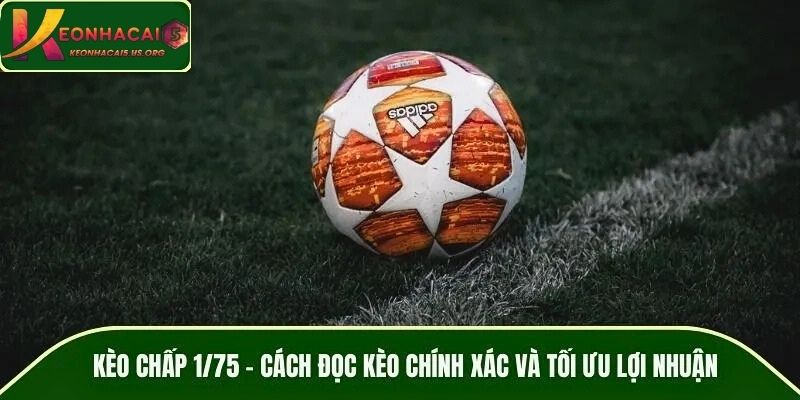 Kèo Chấp 1/75 - Cách Đọc Kèo Chính Xác Và Tối Ưu Lợi Nhuận