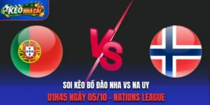 bo dao nha vs na uy